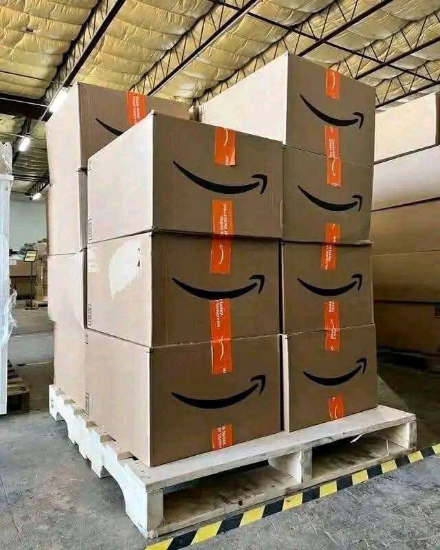 Wholesale Amazon Mystery Box Pallet | 150+ Units — Best Lot